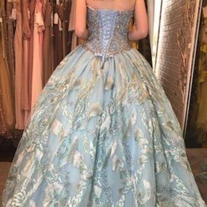 Stunning Prom,  Quinceanera dress or Ball Gown